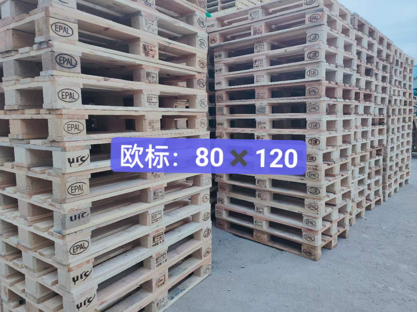 欧标1208.jpg